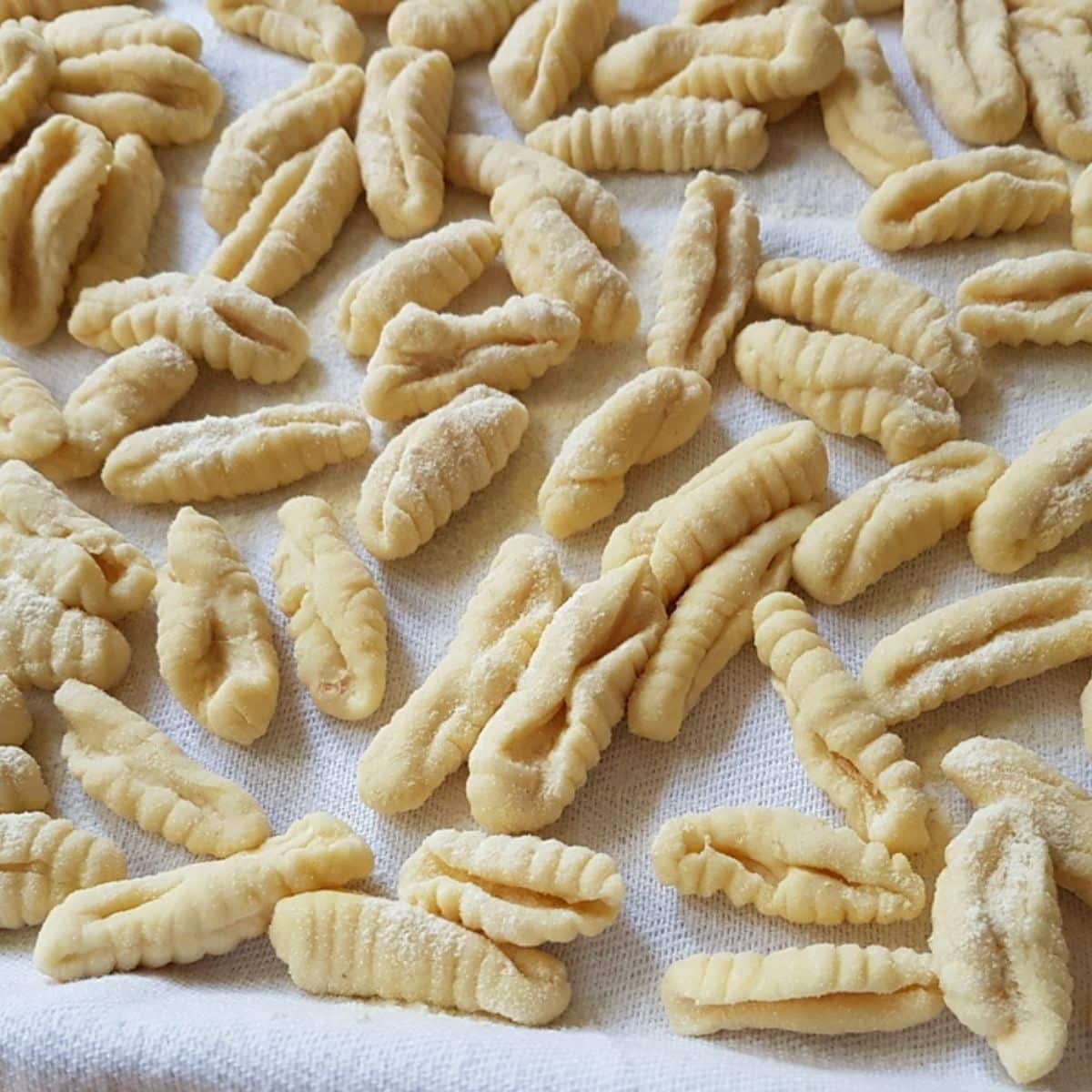 Cavatelli (Every little thing You Must Know) – The Pasta Undertaking ...