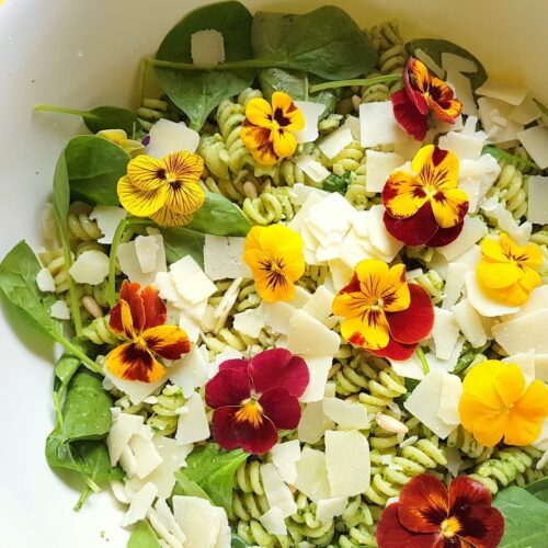 Green Pasta Salad with Edible Flowers – The Pasta Project