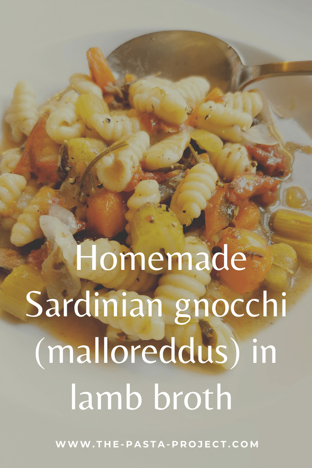 Homemade Sardinian Gnocchi (malloreddus) in Lamb Broth. – The Pasta Project