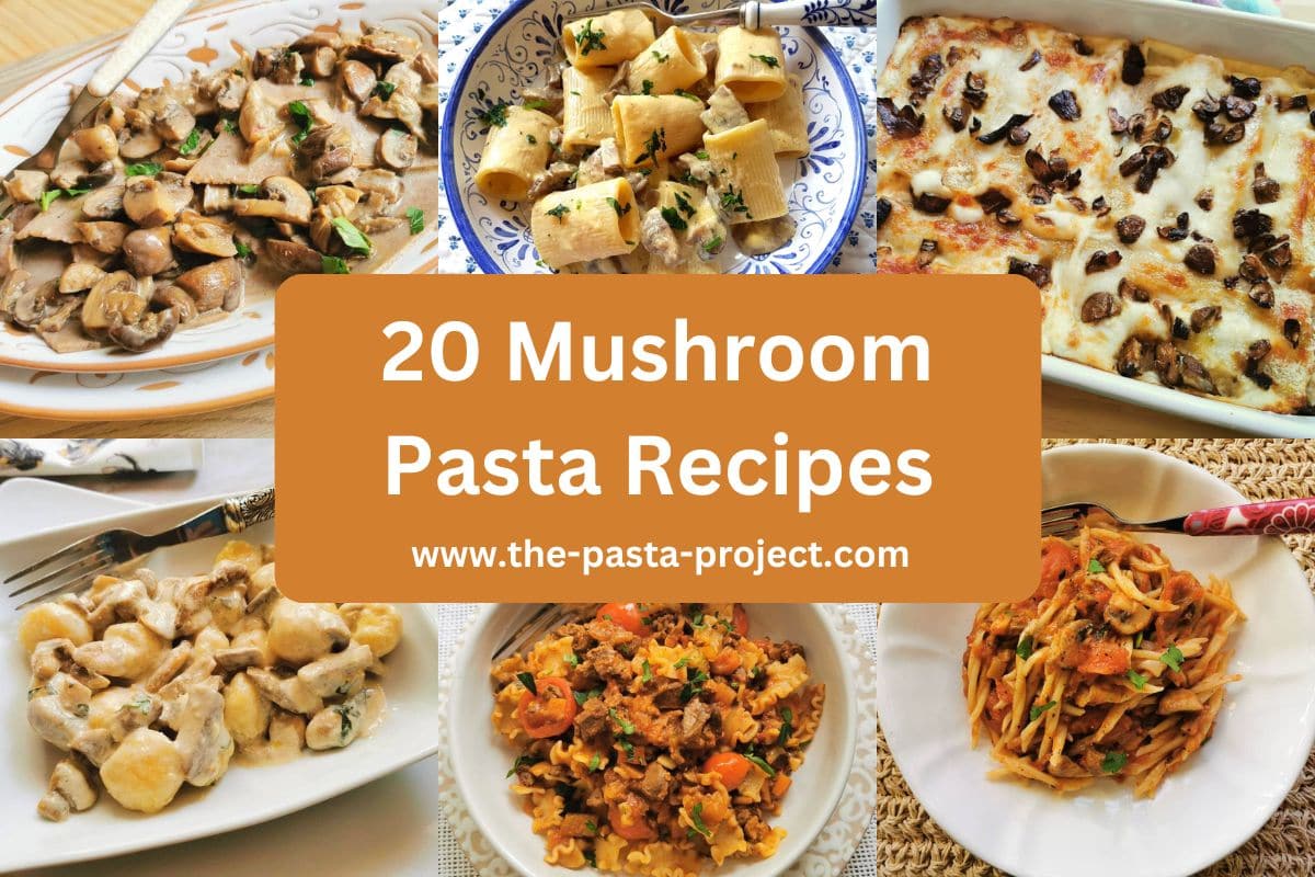 Mushroom pasta recipes.