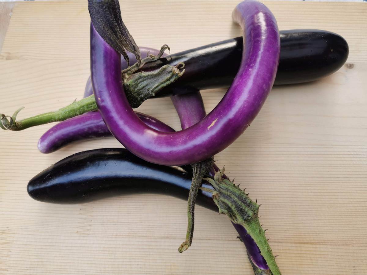 long Italian eggplants on wood board.